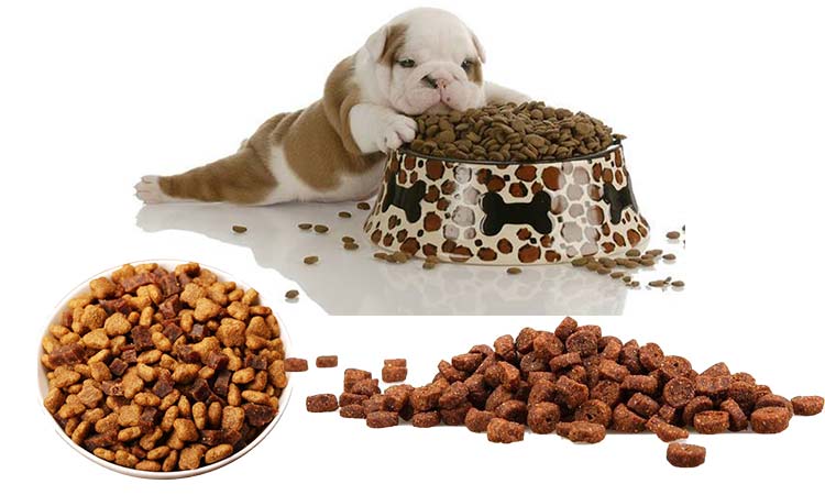 pet food